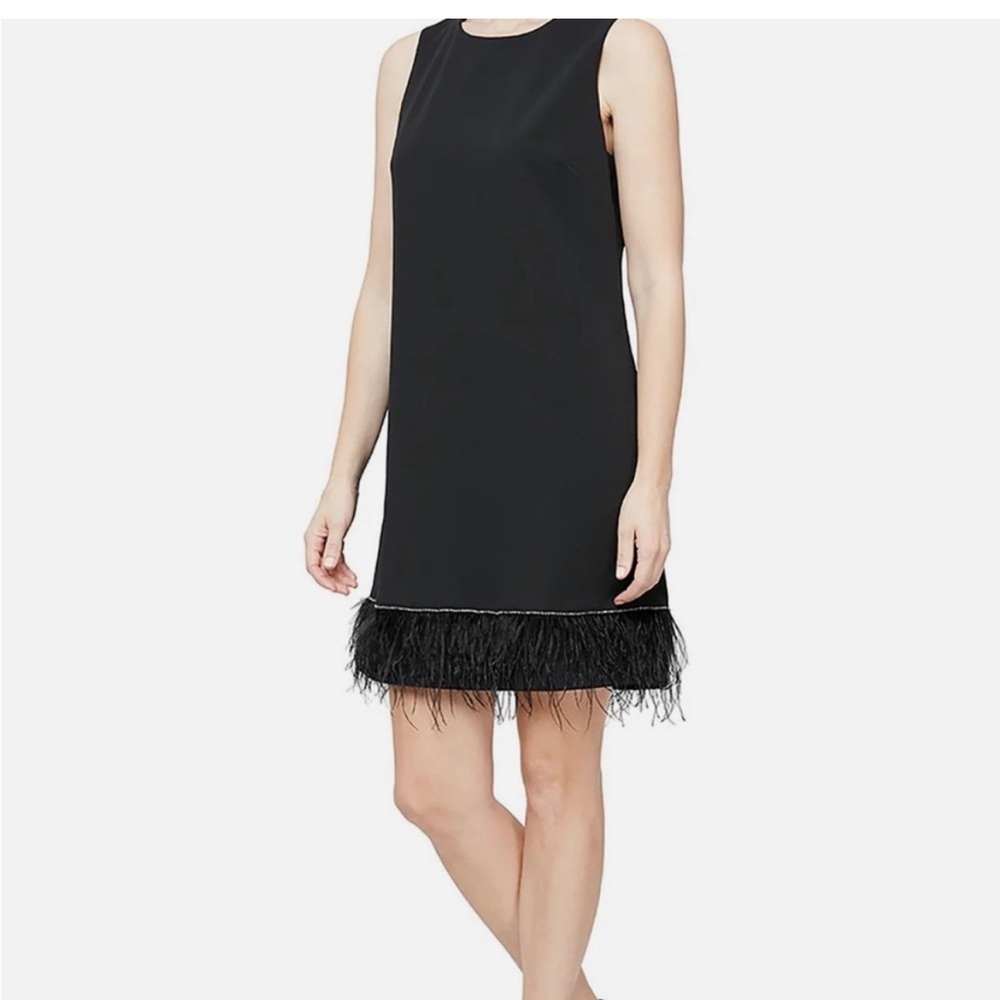 Alex Marie Black Feather & Rhinestone Dress